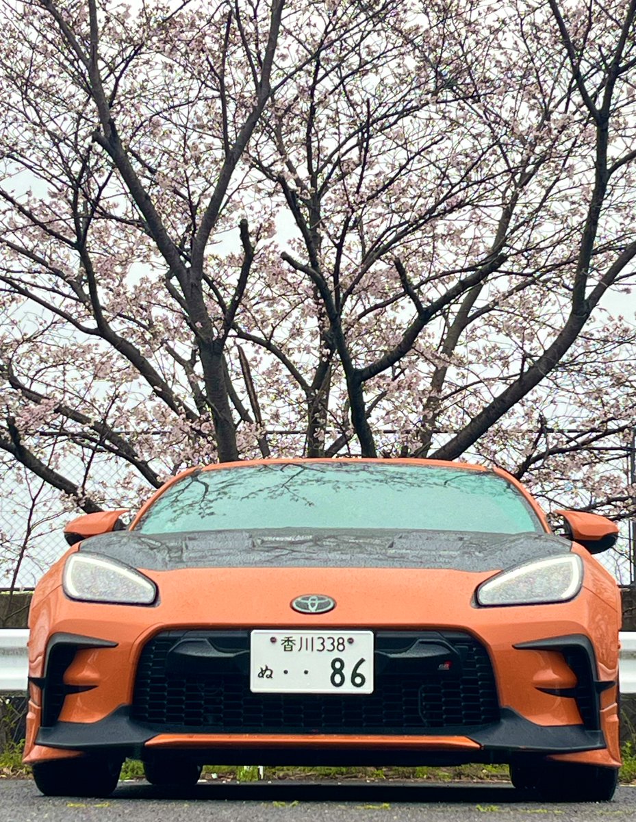 ちゃー tweet media