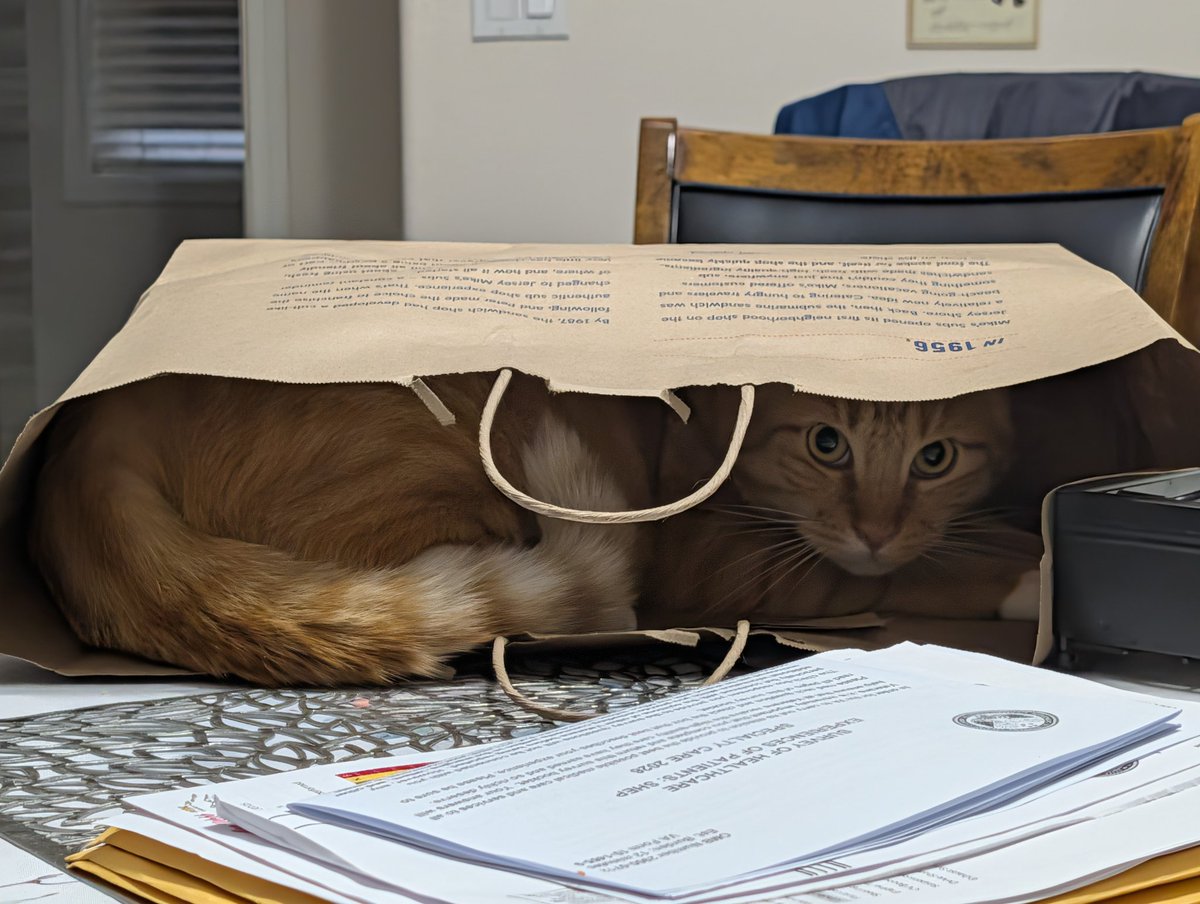 The Fool tweet media