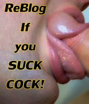 The Gay Guide🍆 tweet media