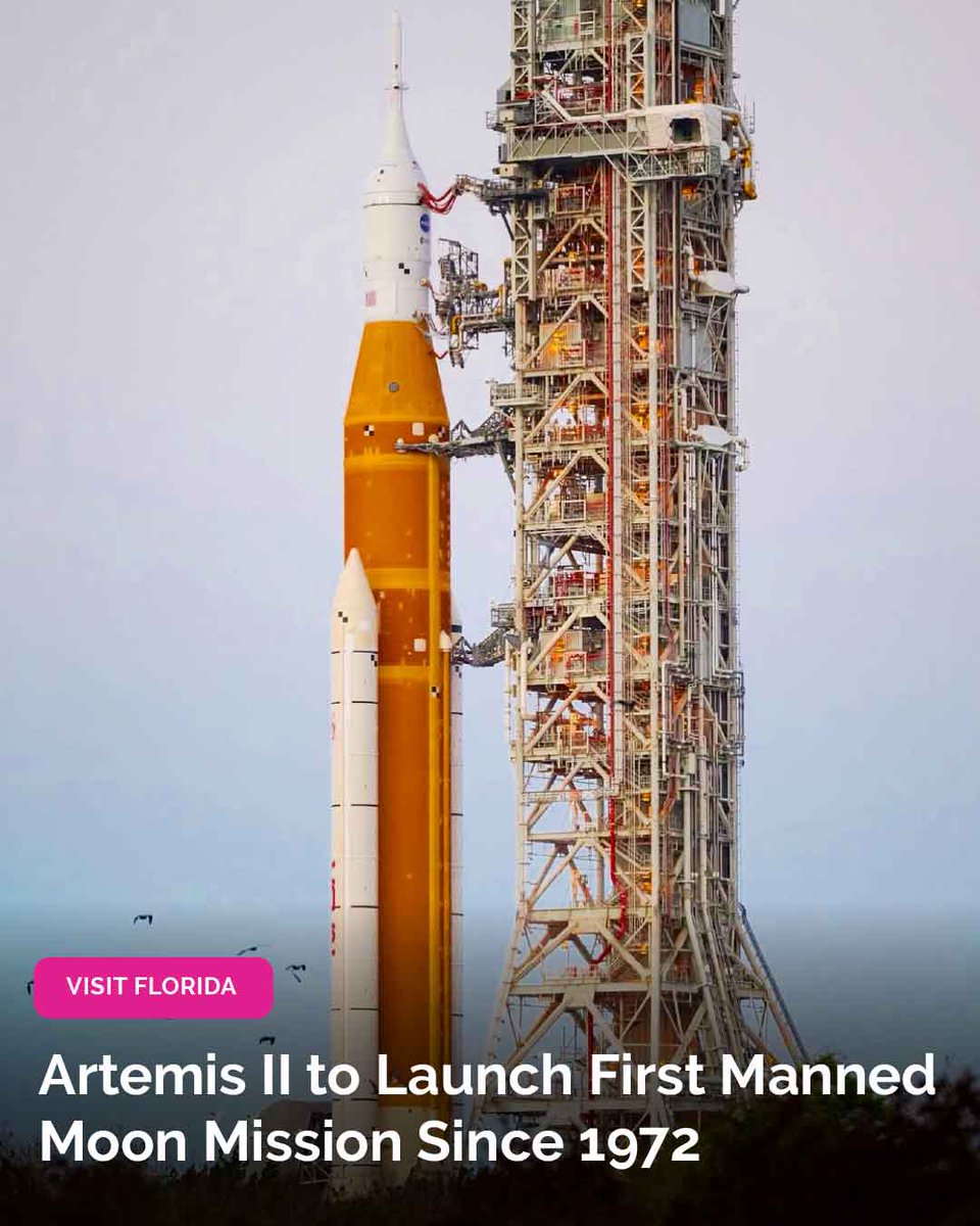 VISIT FLORIDA tweet media