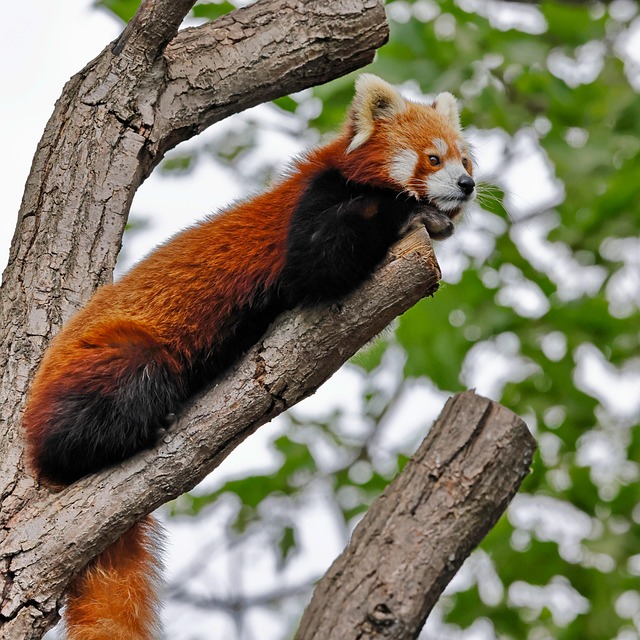 Jason Hawk tweet media