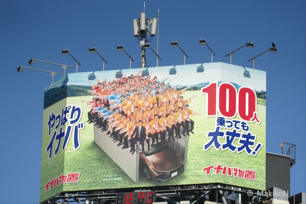 NPO法人札幌カラス研究会 tweet media