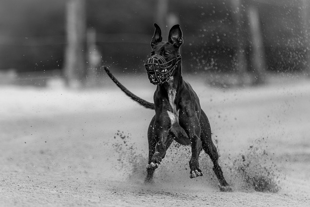 Ryan Stackiin tweet media