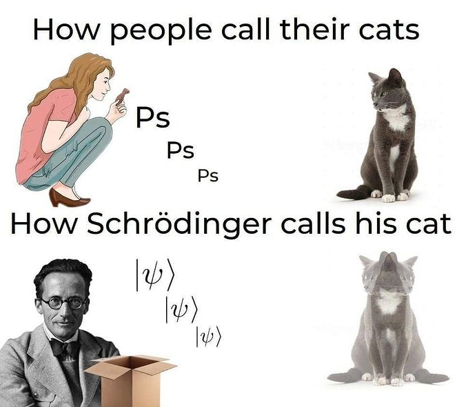 Physics Memes tweet media