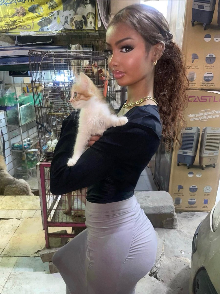 🪽💝🎀 tweet media