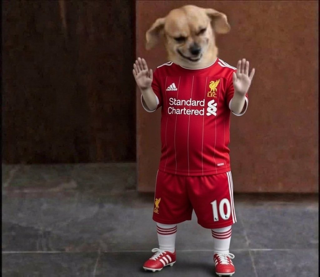 Gadd ♔ tweet media