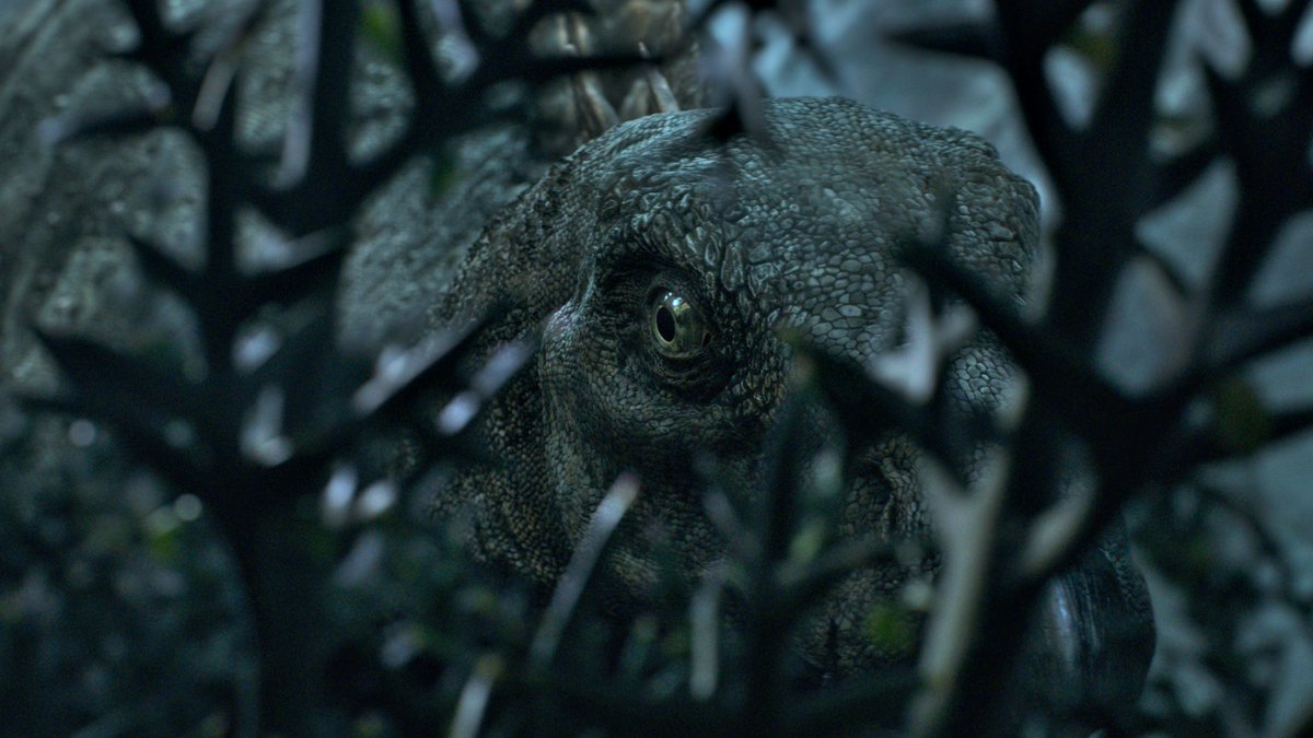 raftingzalmoxes's tweet image. #LifeOnOurPlanet #TheDinosaurs
The Yanbeilong segment is simple yet haunting. A sequence with an atmosphere that reminds me of Annihilation (2018) and a stegosaur design that, on close inspection, reveals a lot of interesting details (small spikes on the neck, etc.)...