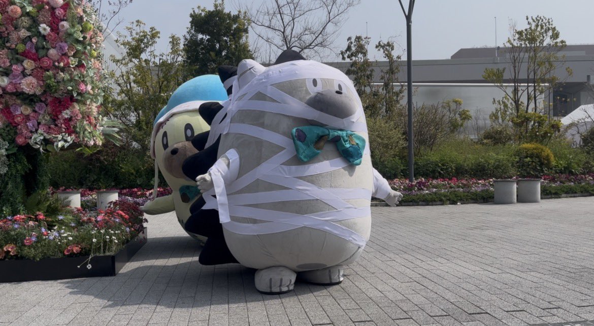 KANAs NEXT▶︎大阪①② tweet media