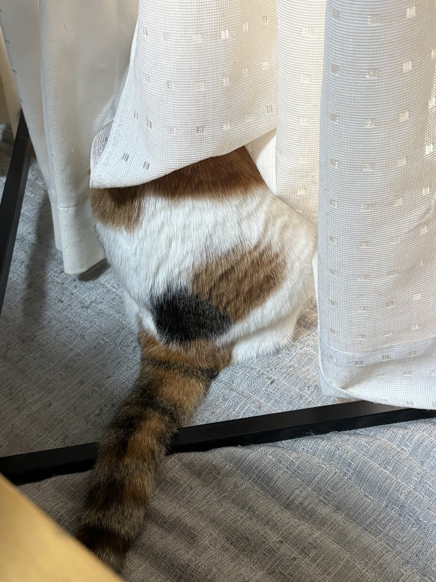 りょう tweet media