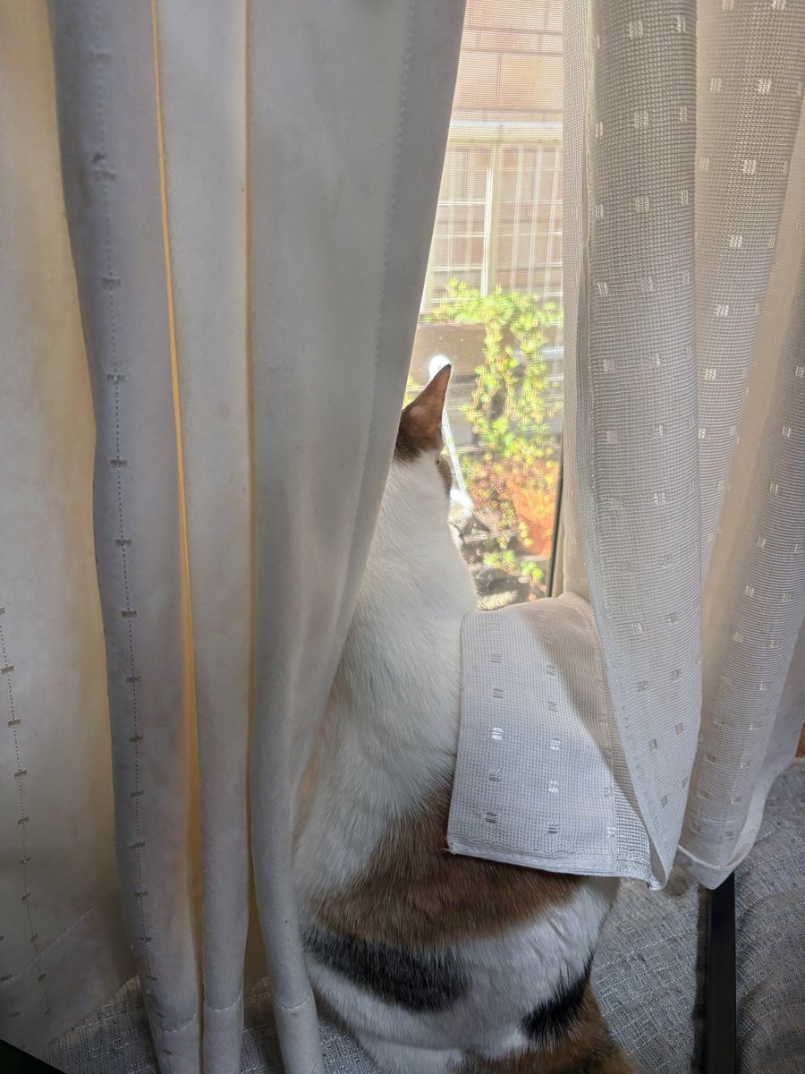 りょう tweet media