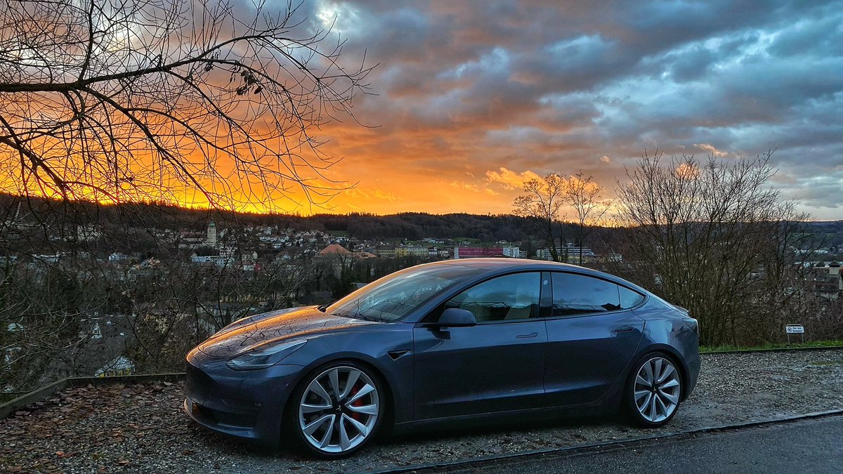 Madyordle tweet media