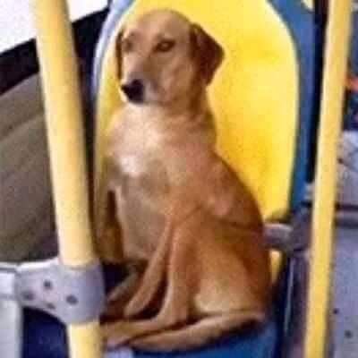 gabi only tweet media