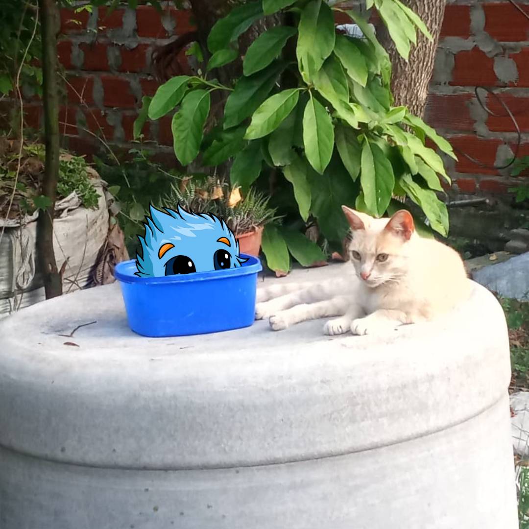 BelS2077's tweet photo. JubJub pretends to be a plant in this pot, but his color gives him away, don't you think? ☺️
@JustAbout__ @Neopets 
#JustCreators #Neopets https://t.co/qQx1dDmo5q