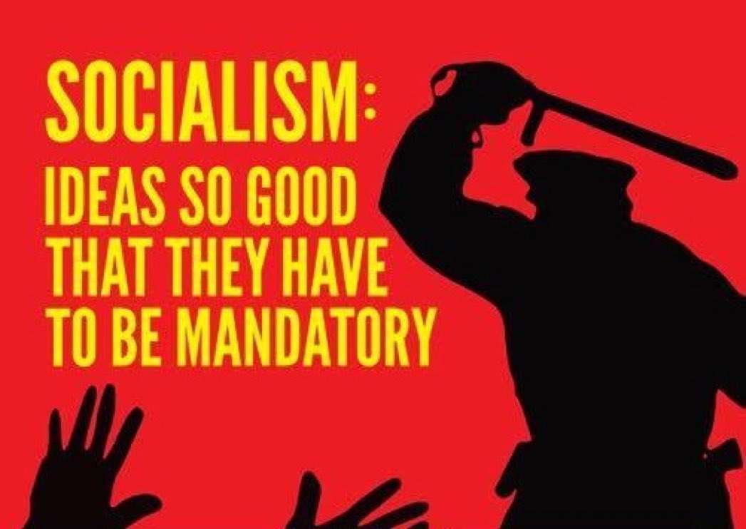 Fernando Amandi Sr.🌐 tweet media