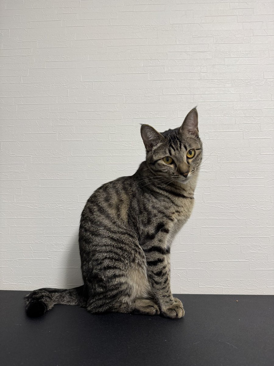 くちゃみ tweet media