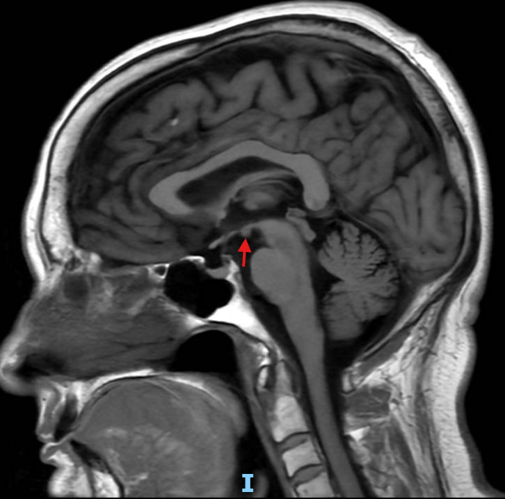 Whitfield Lewis, MD 🇦🇬🇺🇸 tweet media