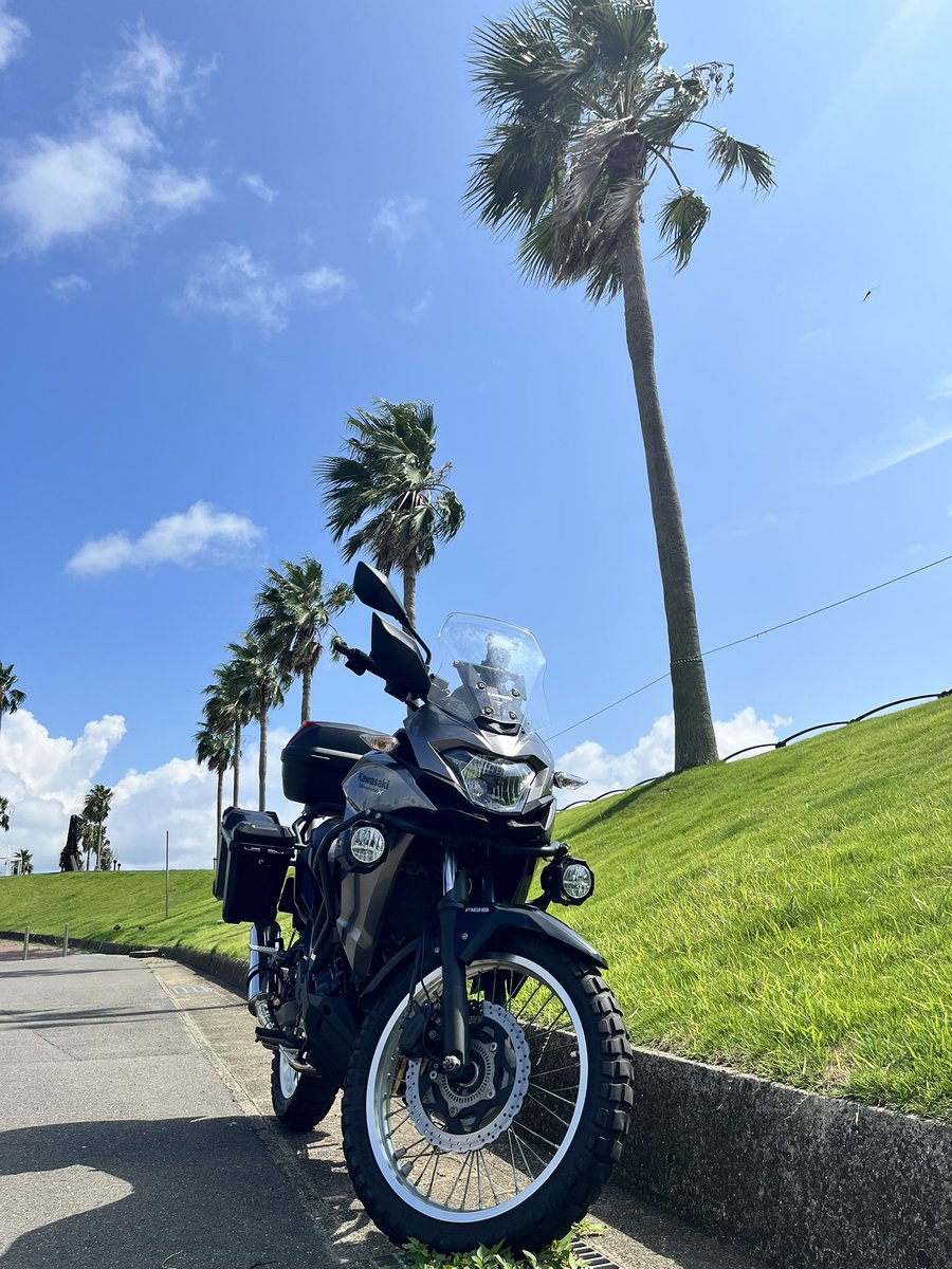 コフキ南瓜 tweet media