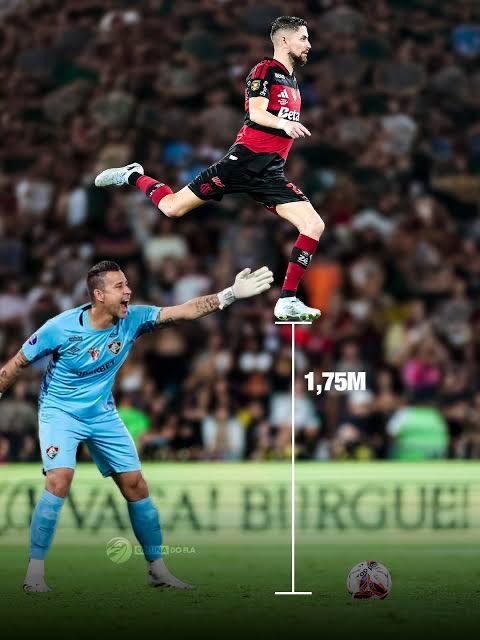 Gustavo Duarte tweet media