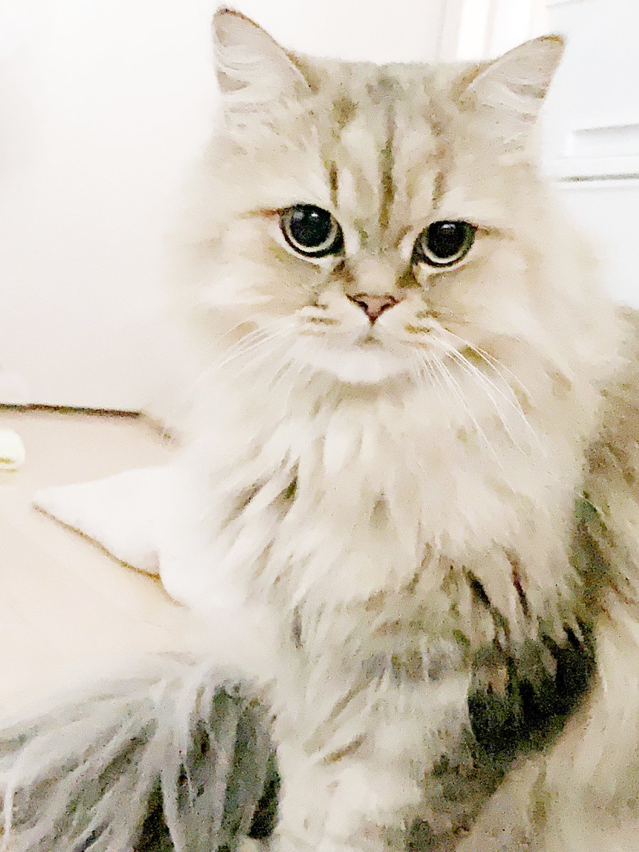 まき🌿 tweet media