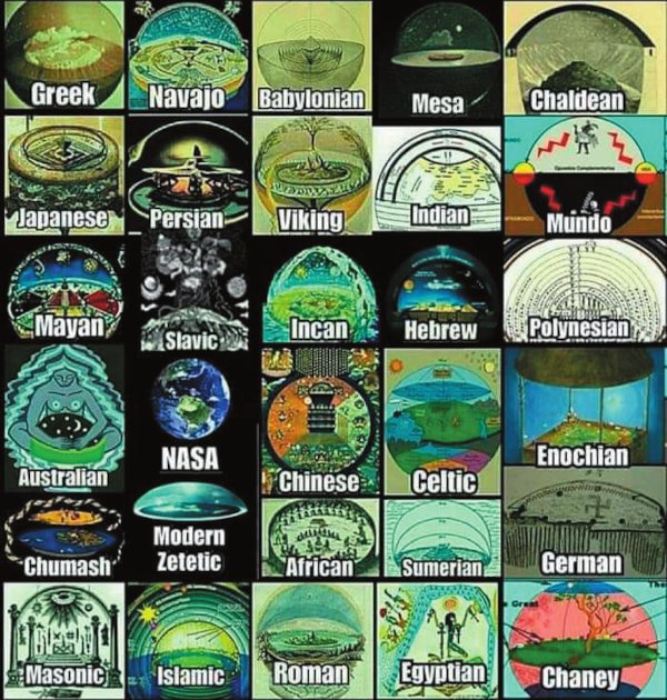 Freeman SDG tweet media