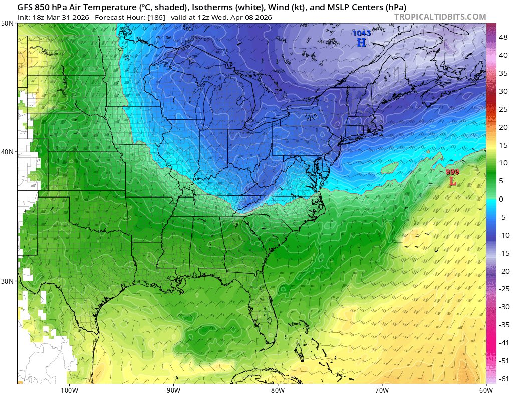 WeatherBoyTyler tweet media