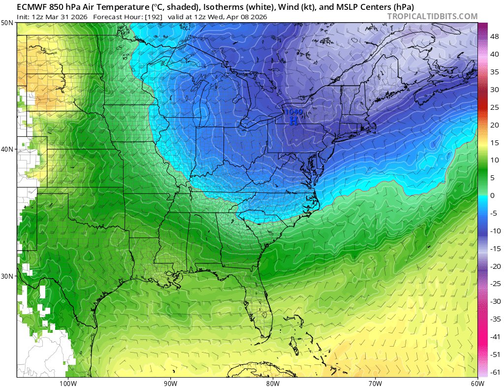 WeatherBoyTyler tweet media