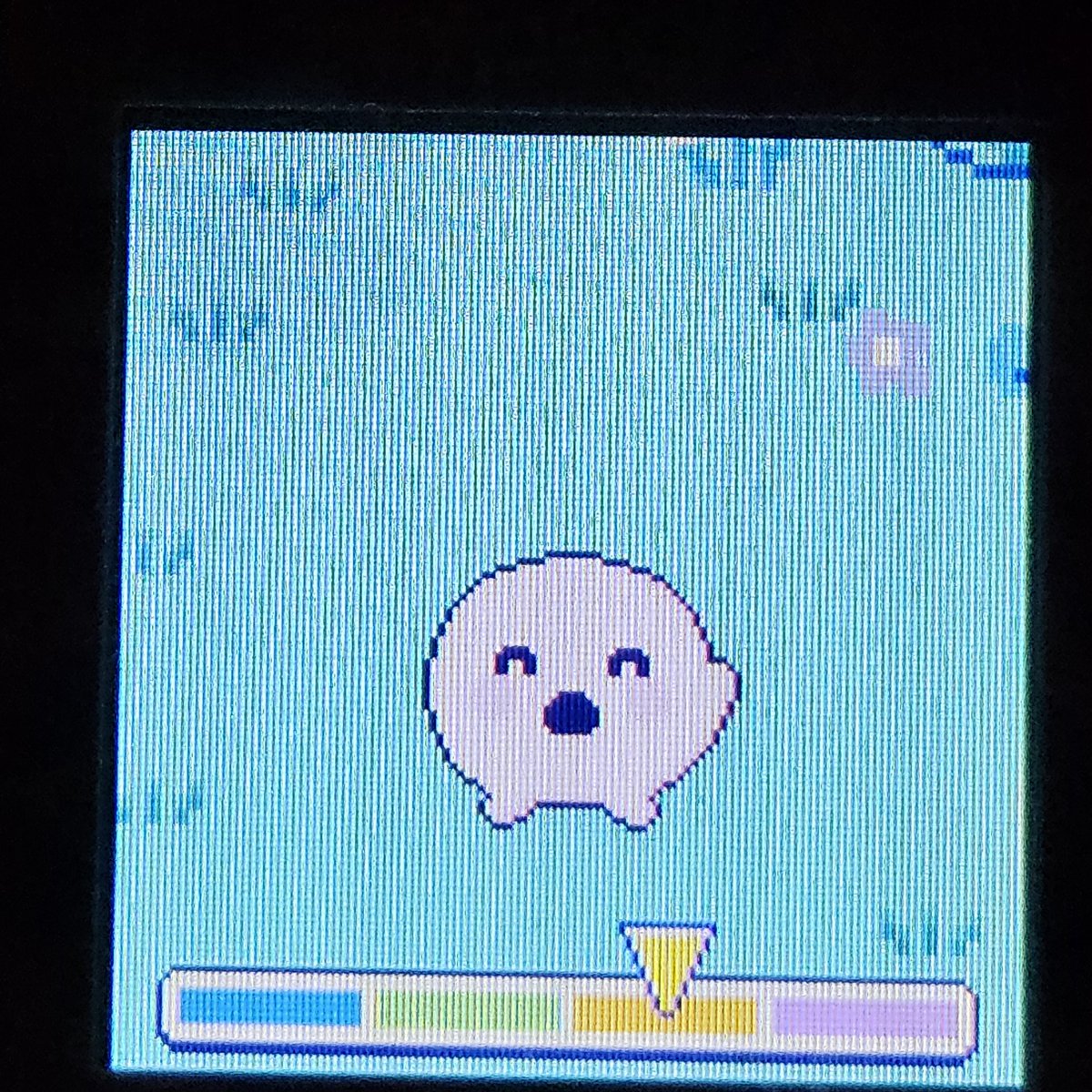 무꽁이 tweet media