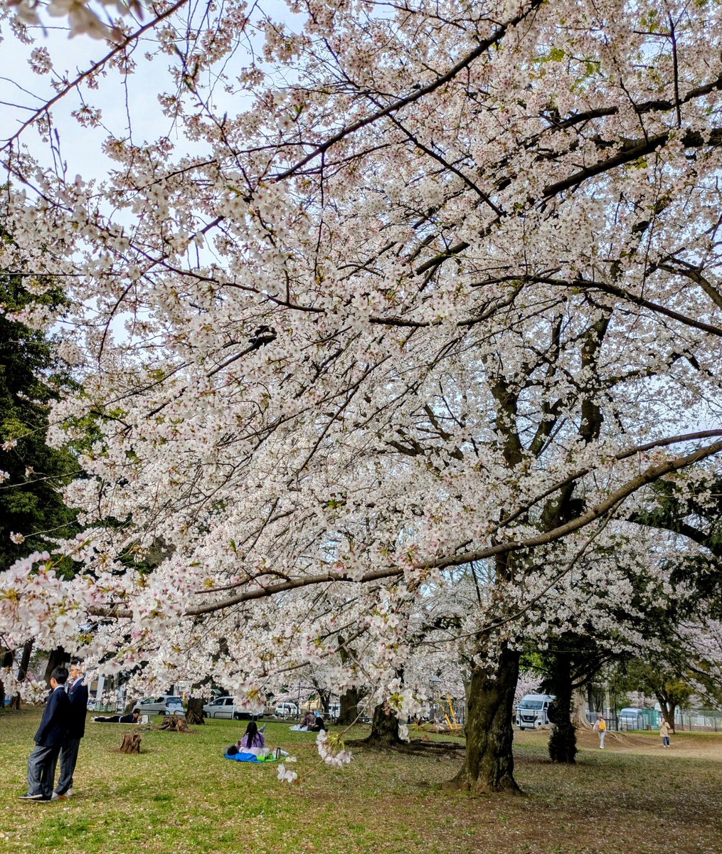 日本橋人形町床屋カットハウススペース tweet media