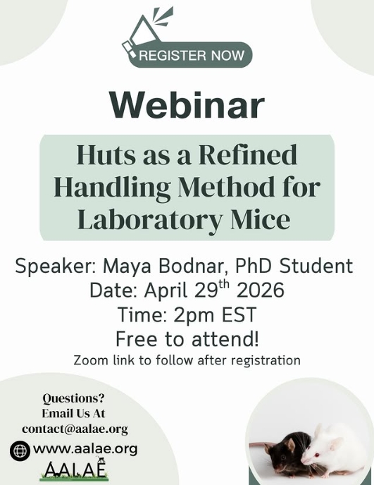 bioterioscom's tweet photo. 🐭📢 Webinar sobre uso de refugios como método refinado de manejo en ratones de laboratorio.

Una alternativa al tail handling que reduce el estrés y mejora el bienestar animal.

👉 https://t.co/KQScLVXeFG

#Bioterios #3Rs #AnimalWelfare #LabAnimalScience https://t.co/yI12hnZ2ul