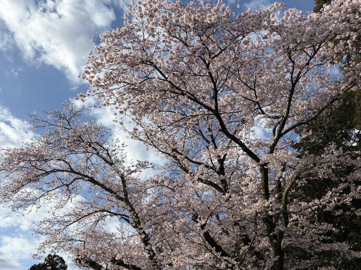 HMS_ひろ tweet media