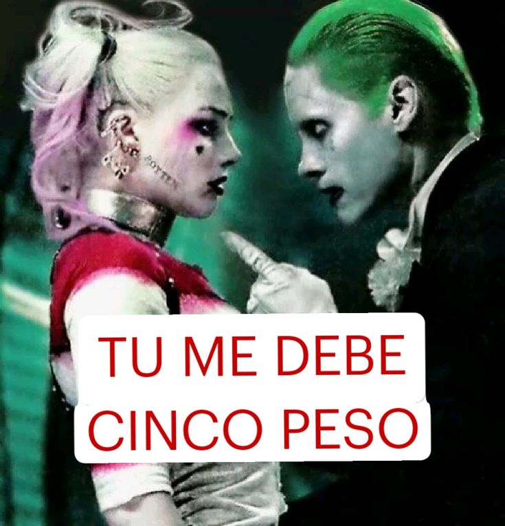 𝘋𝘢𝘷 🦭꩜ .ᐟ tweet media