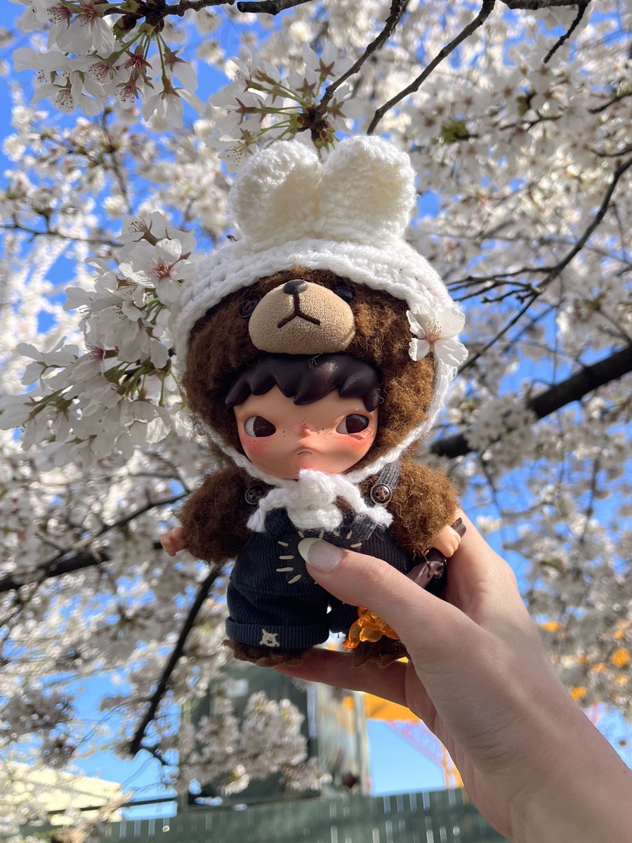 petri_fish's tweet photo. 🌸 https://t.co/BPDMCwkphE