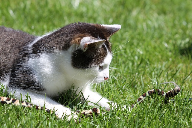 Jonathan Schindler tweet media