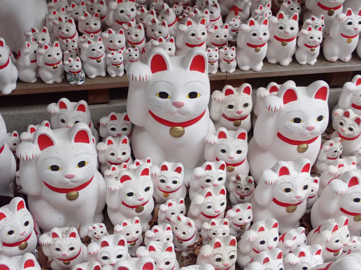 yohsan@東京403陸釣部隊 tweet media