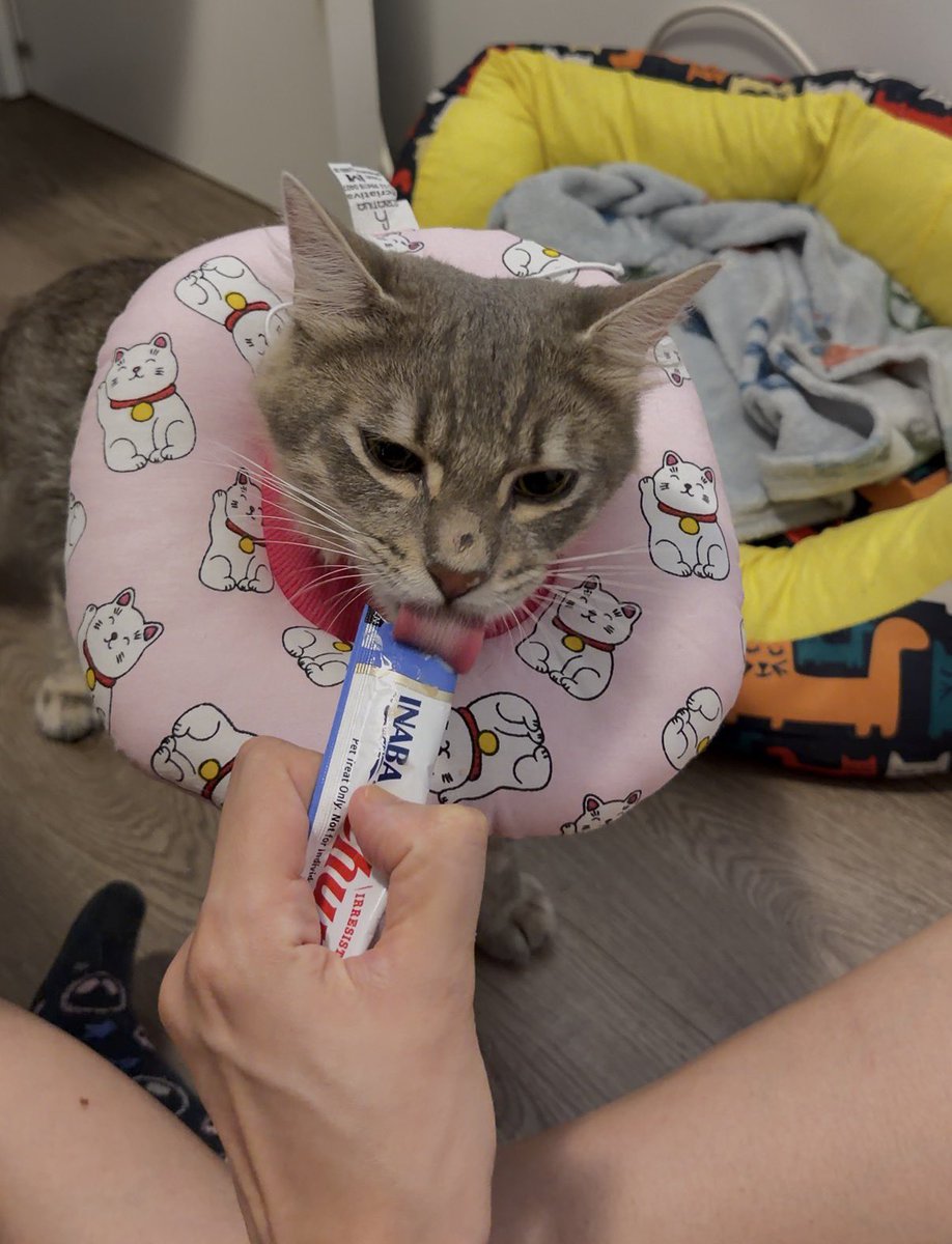 nutri larissa brocolis tweet media