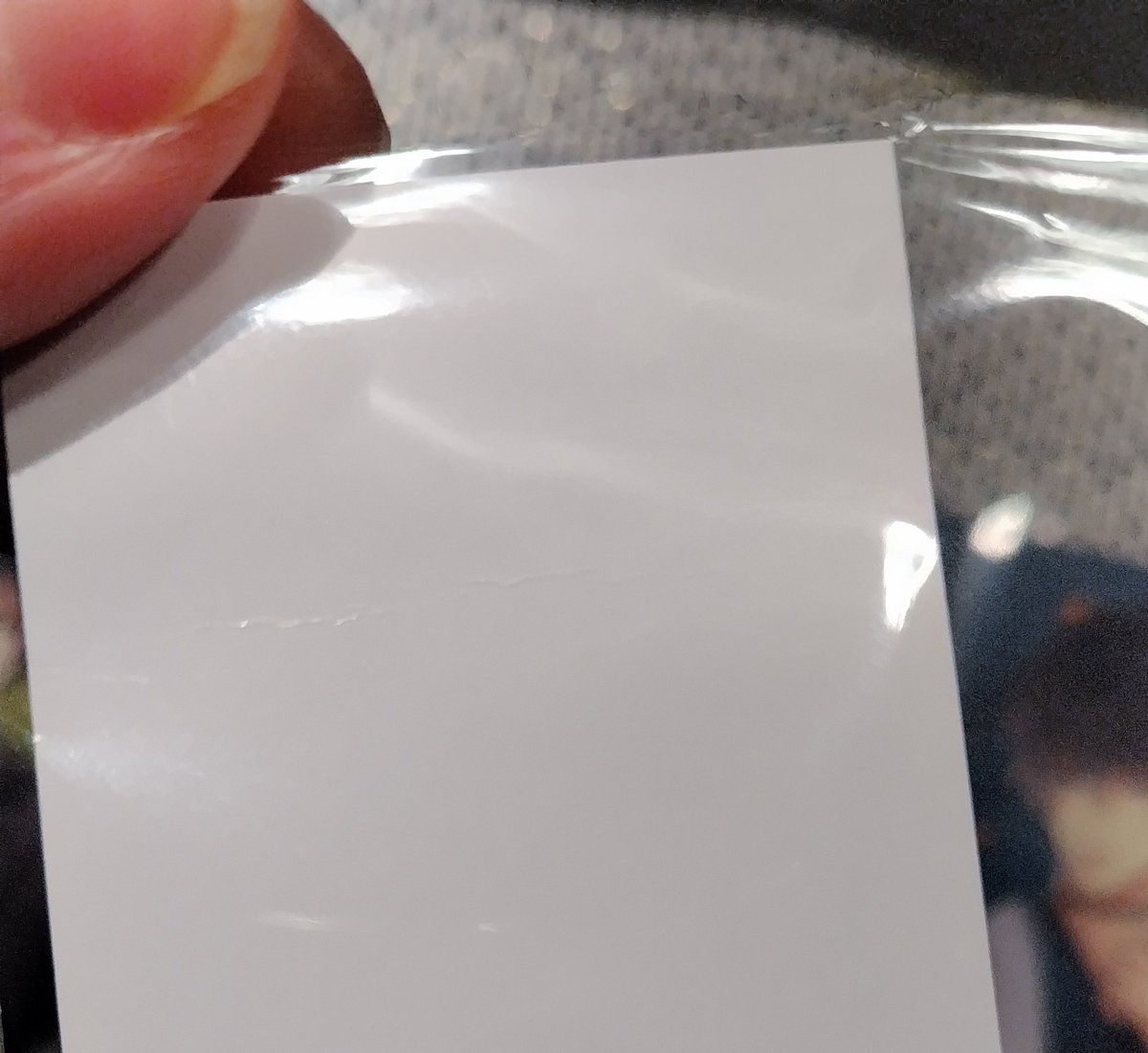 ∑(シグマ) tweet media