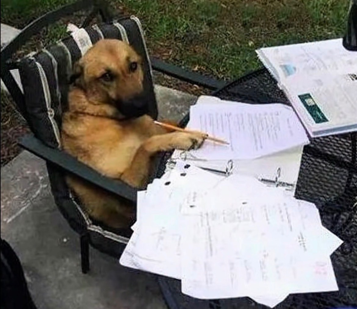 Memes UNA tweet media