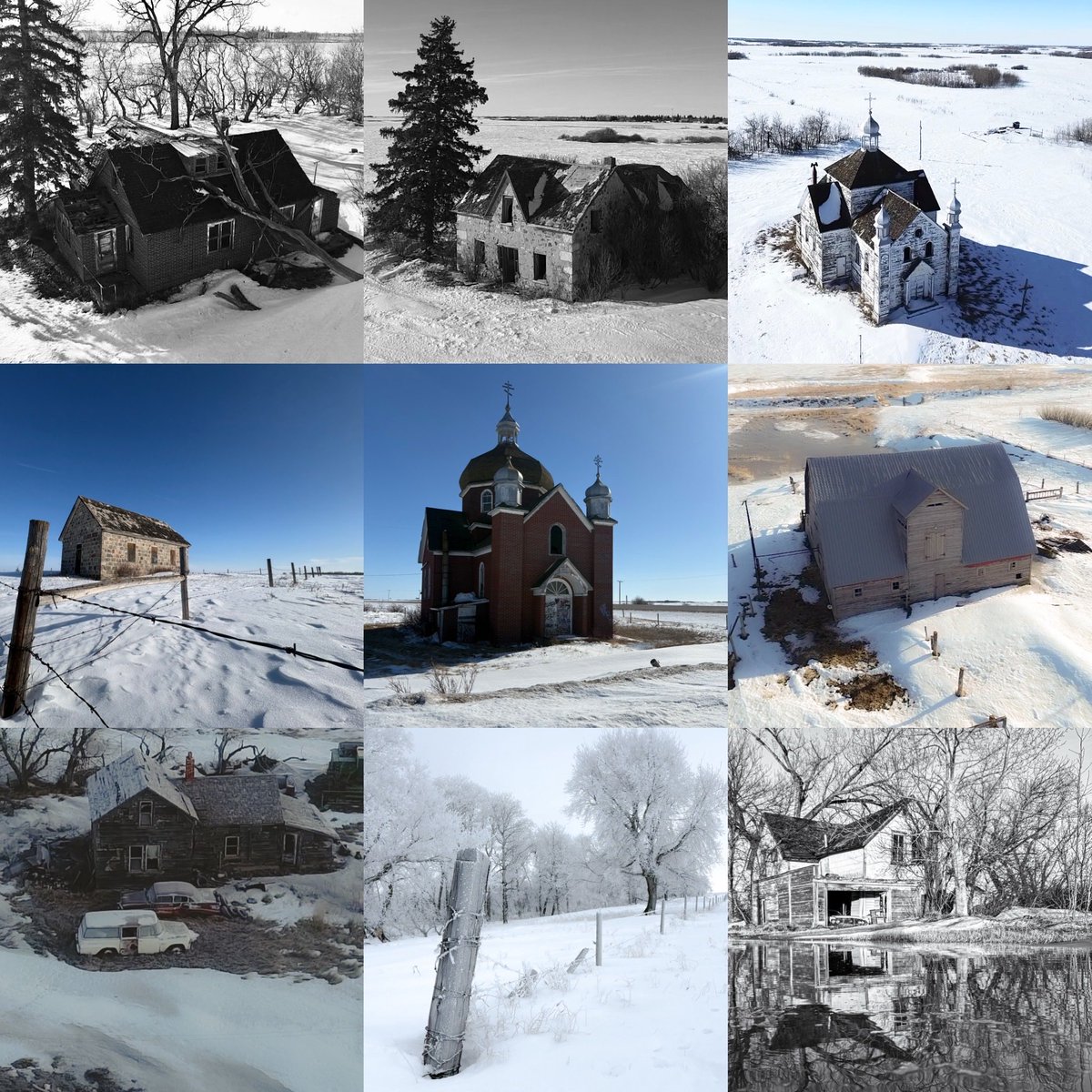 Dylan Bertholet tweet media