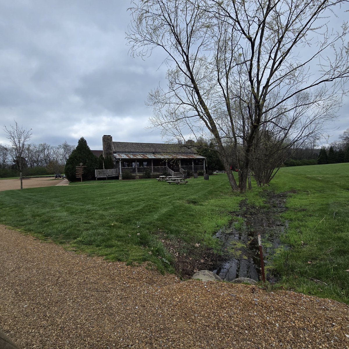 Zach Lyons tweet media