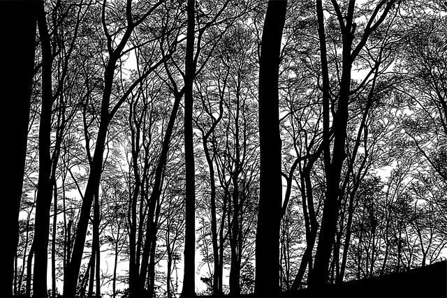 xxx porn sex tweet media