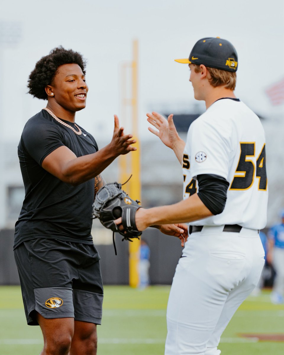 Mizzou Baseball tweet media