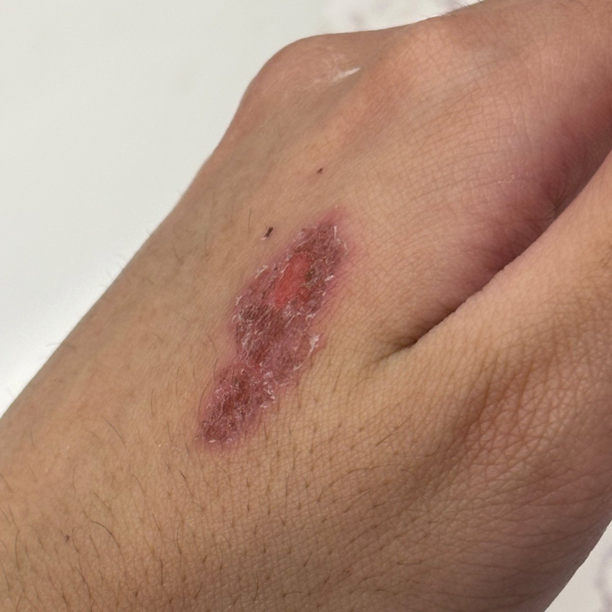 moon of 𝘀𝗵𝗲𝗱𝘁𝘄𝘁 ☾ fly tweet media