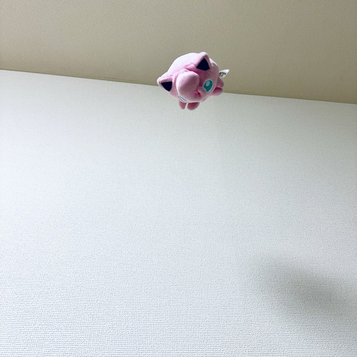 えいくa.k.aプリンをRTするマン。🐹🥕 tweet media