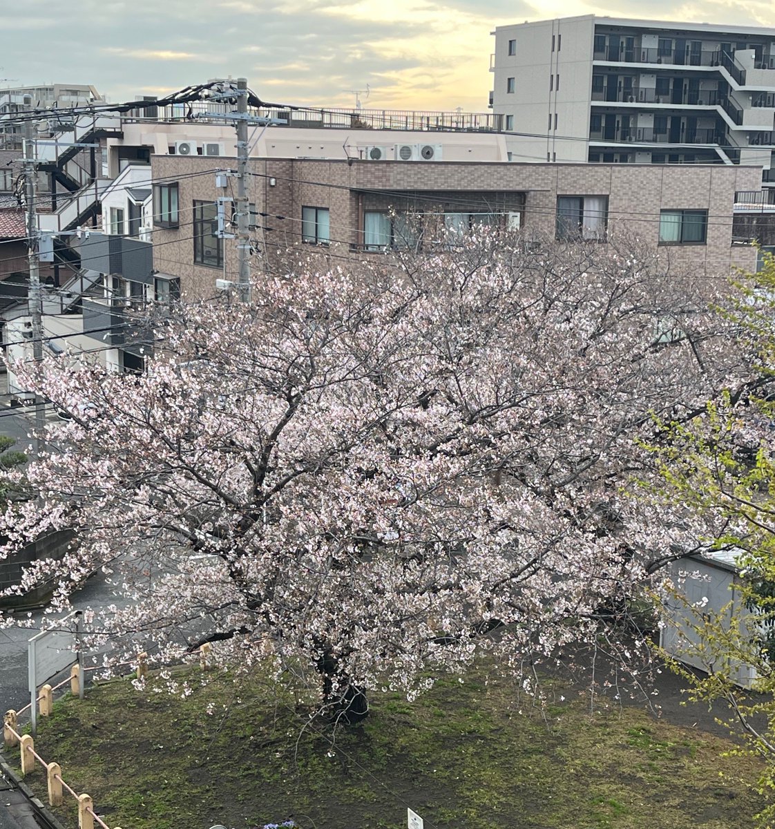 UK♡🍓kkmama🍓👣🎪 tweet media