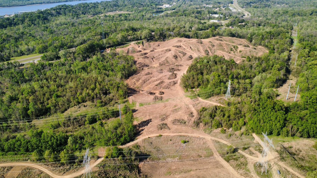 EutawUS's tweet image. First step: clearing! 
Making room for what’s next! 💪

#Eutawus #EutawConstruction #Digin