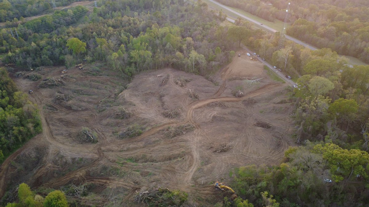 EutawUS's tweet image. First step: clearing! 
Making room for what’s next! 💪

#Eutawus #EutawConstruction #Digin