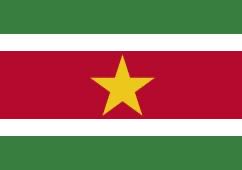 raypenn007's tweet photo. Suriname is the latest #country to have its first elected woman president. Jennifer Geerlings-Simons was elected by the National Assembly on July 6, 2025, and #inaugurated on July 16, 2025.
 #WomenHistoryMonth https://t.co/mKpPOQwrLA