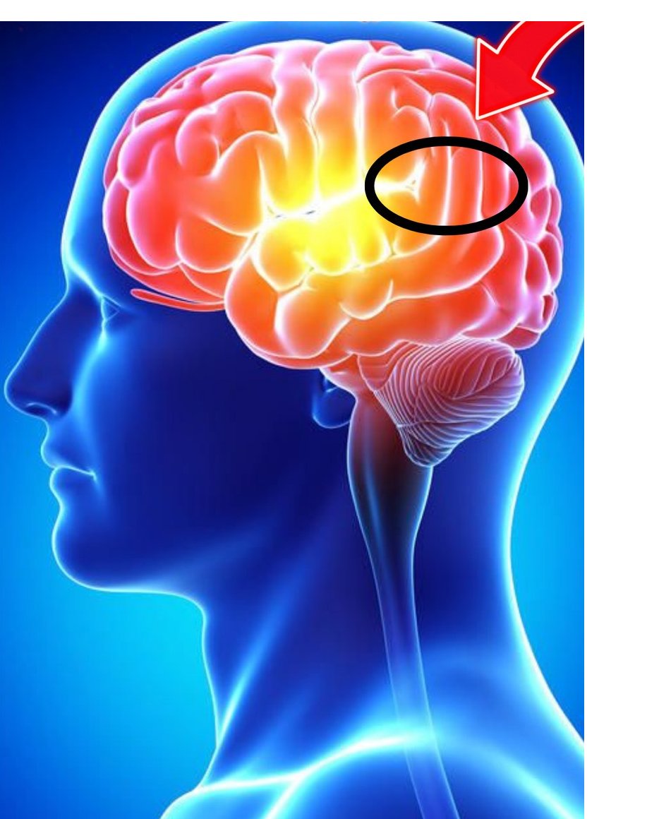 AnimeTrends tweet media