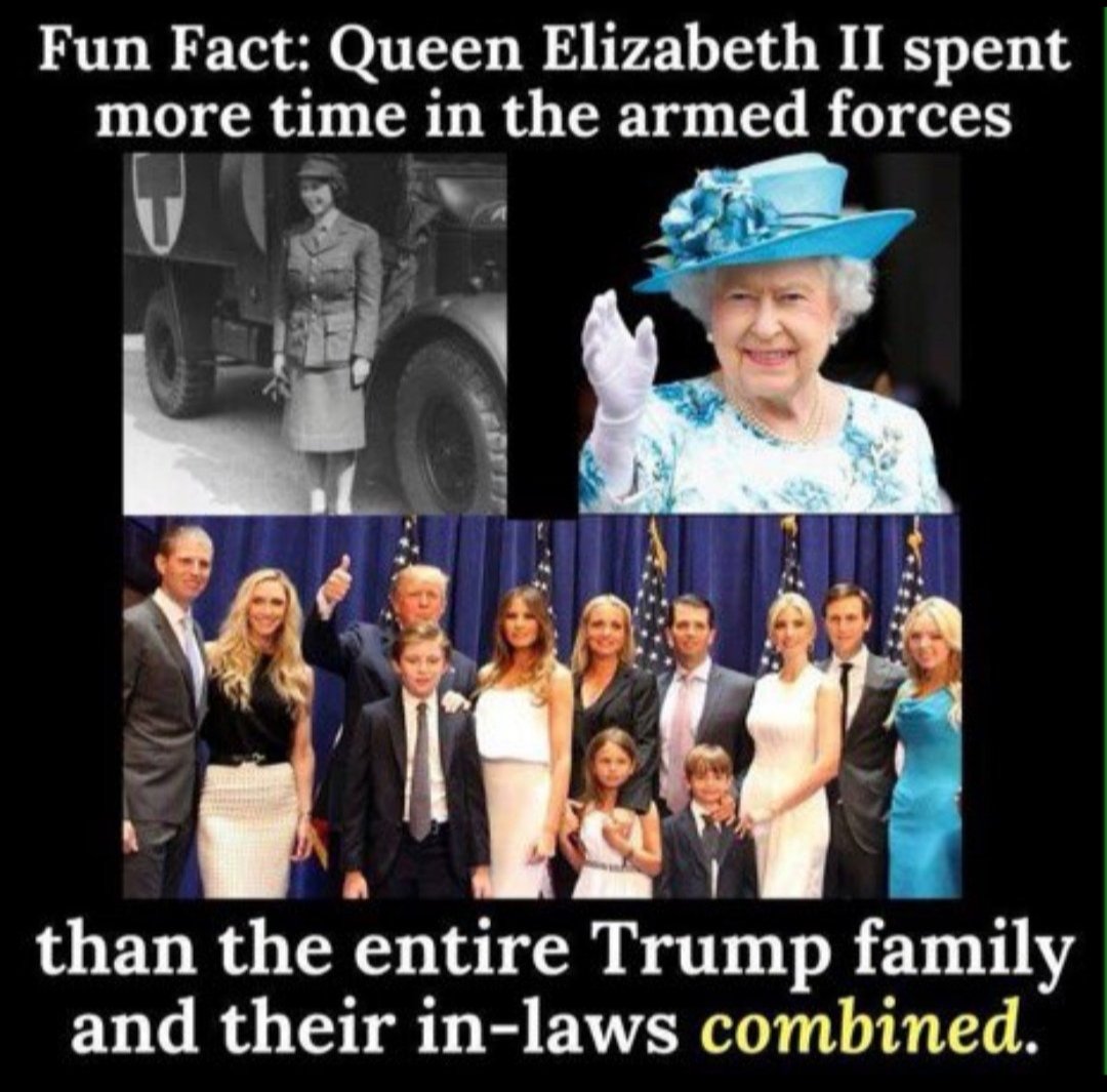 Peter 💙🍊🇺🇦 tweet media