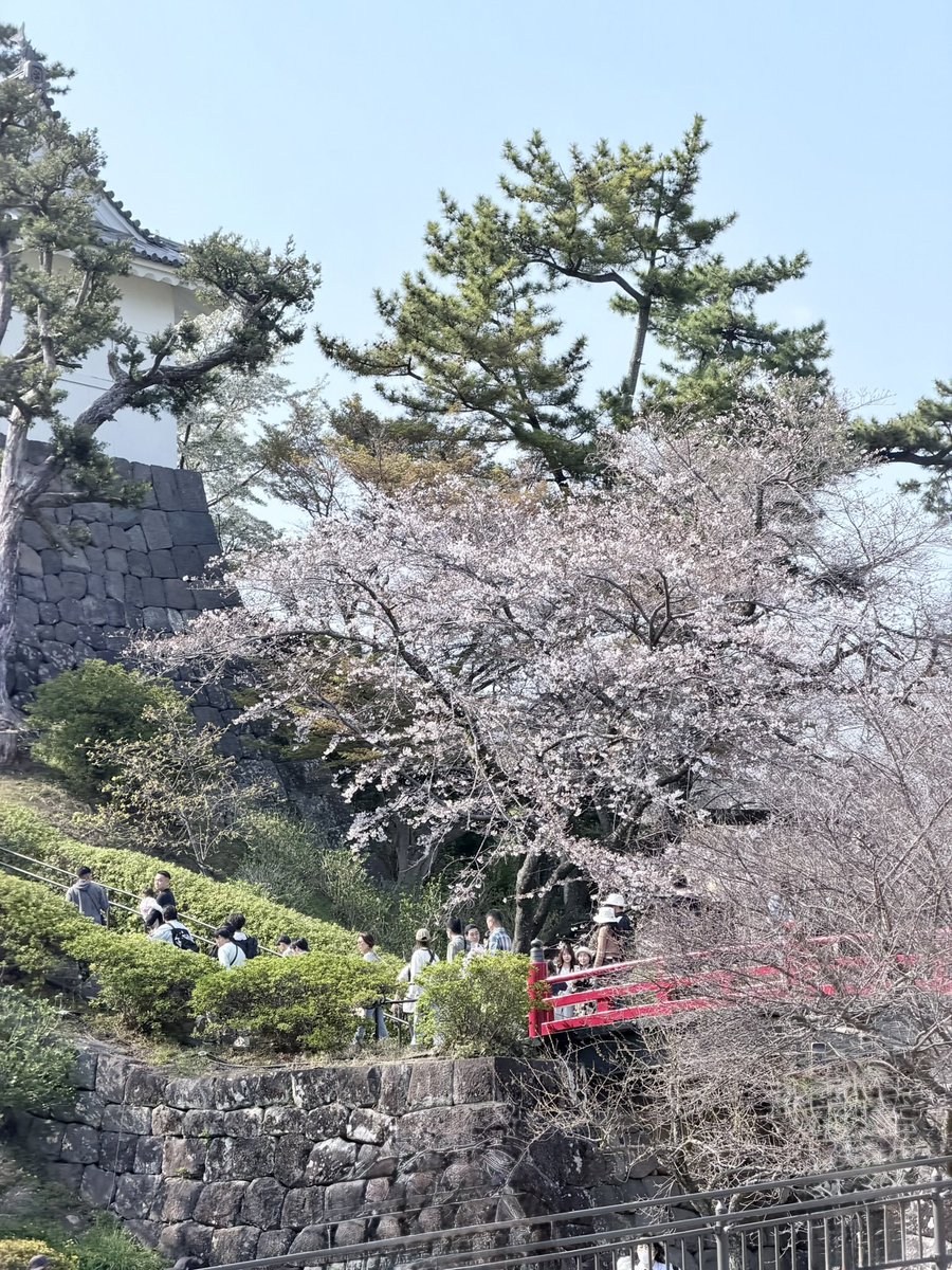 ループセンス -loopsence-【公式】 tweet media